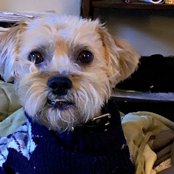 Meet your Posher, Shellee` - Picture 6 of 10